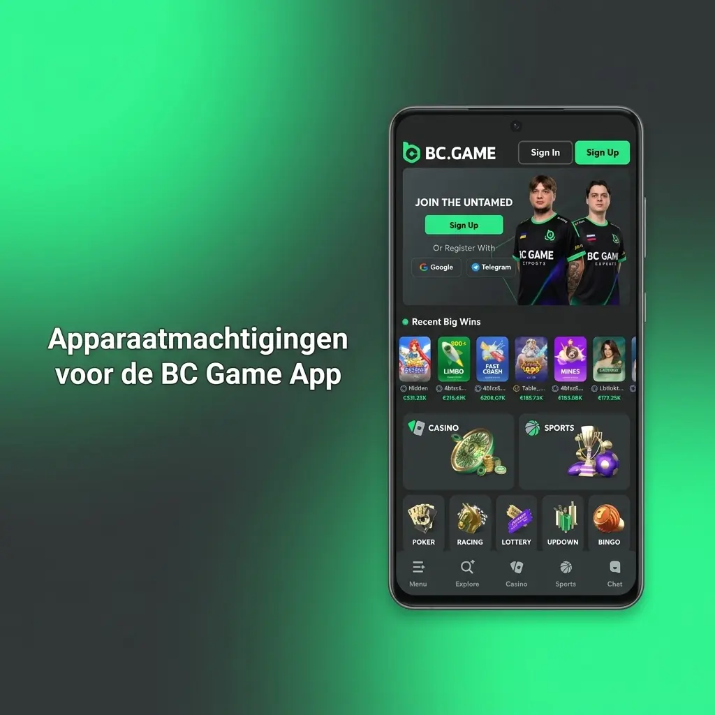 Apparaatmachtigingen overzicht BC Game app